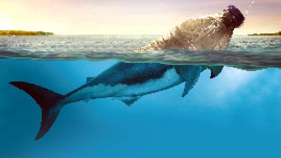 التلوث البلاستيكي