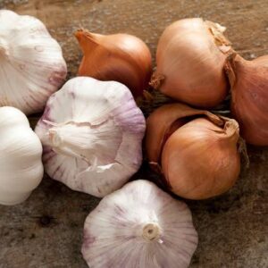 اطعمة الشتاء