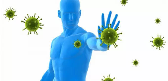 طرق طبيعية لتقوية جهاز المناعة في الشتاء