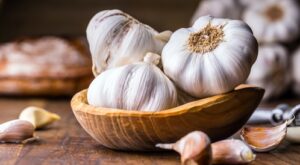 الثوم الذكر