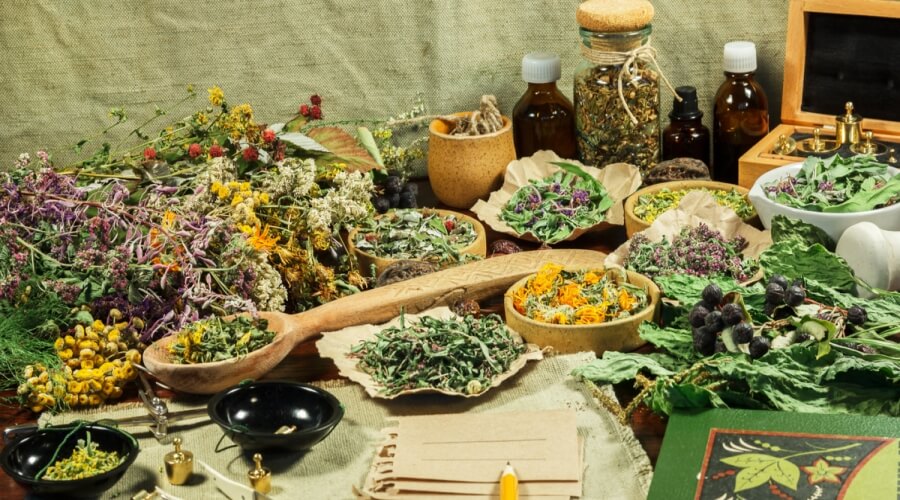 الأعشاب الطبية