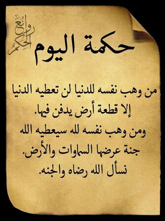 حكمة اليوم عن الحياة