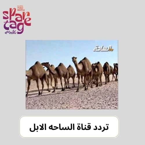 تردد قناة الساحه الابل