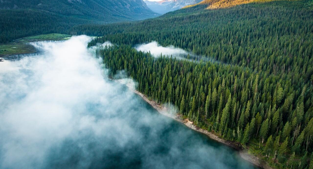 سر حرائق أمريكا