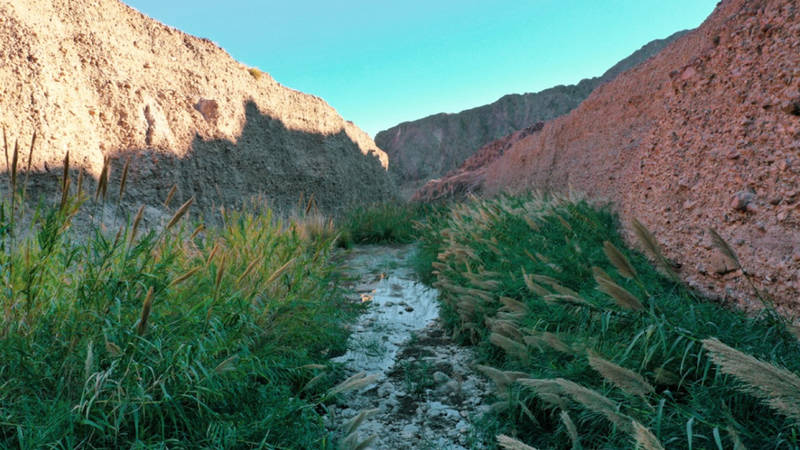 محمية وادي الوريعة