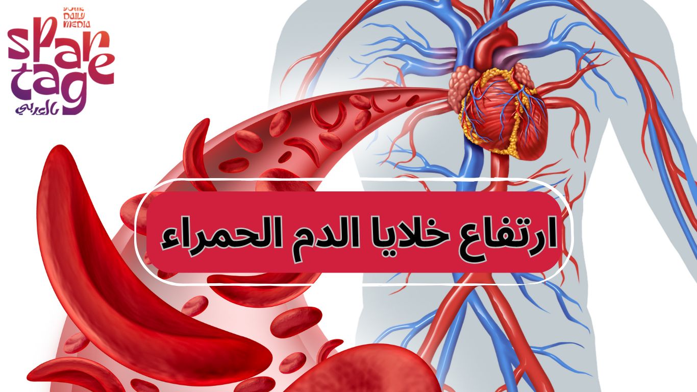 ارتفاع خلايا الدم الحمراء