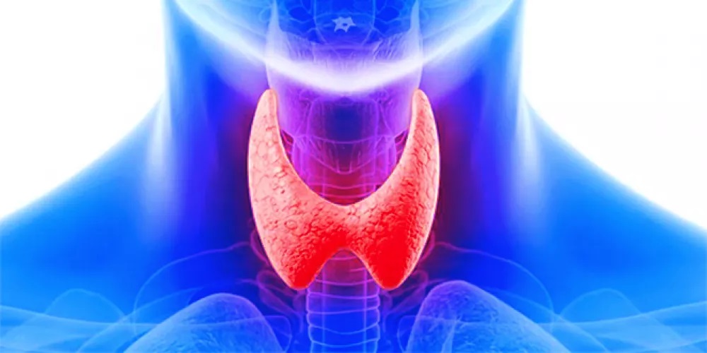 ارتفاع غدة الدرقية