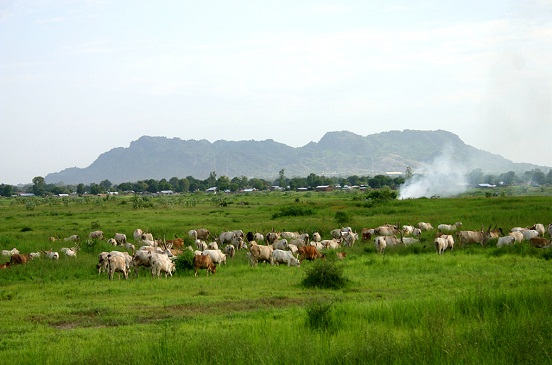 السودان سلة غذاء العالم