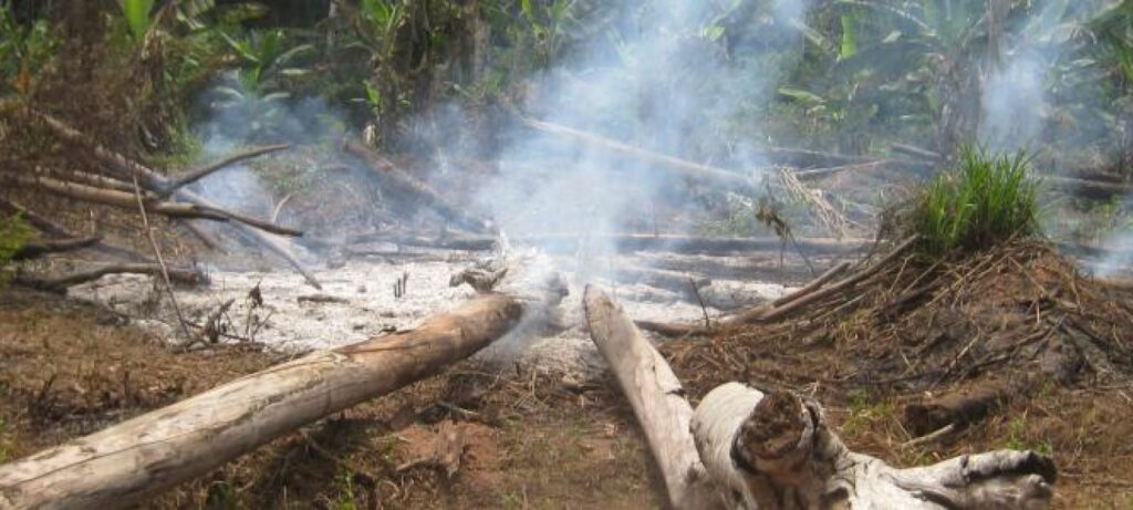 مشكلة أفريقيا الوسطى