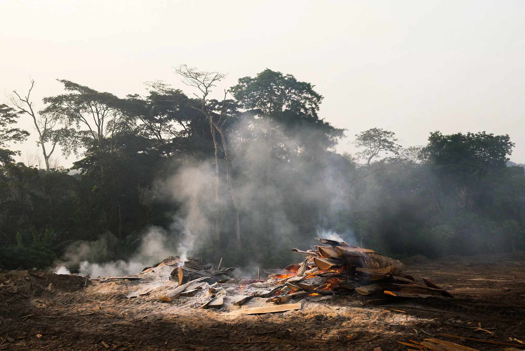 مشكلة أفريقيا الوسطى