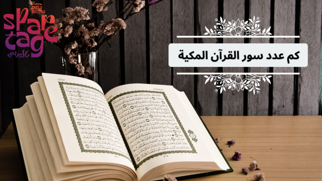 =عدد سور القرآن 