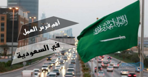 وظائف بدون شهادة