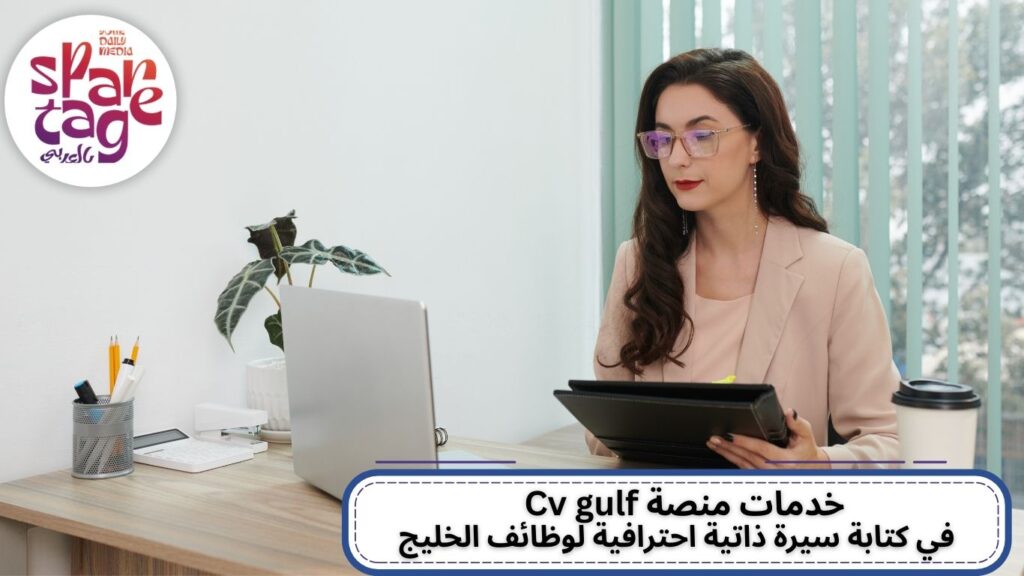 قوالب السيرة الذاتية، سيرة ذاتية احترافية