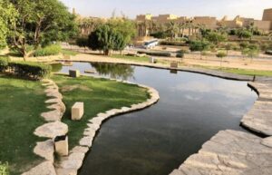 زيارة الرياض