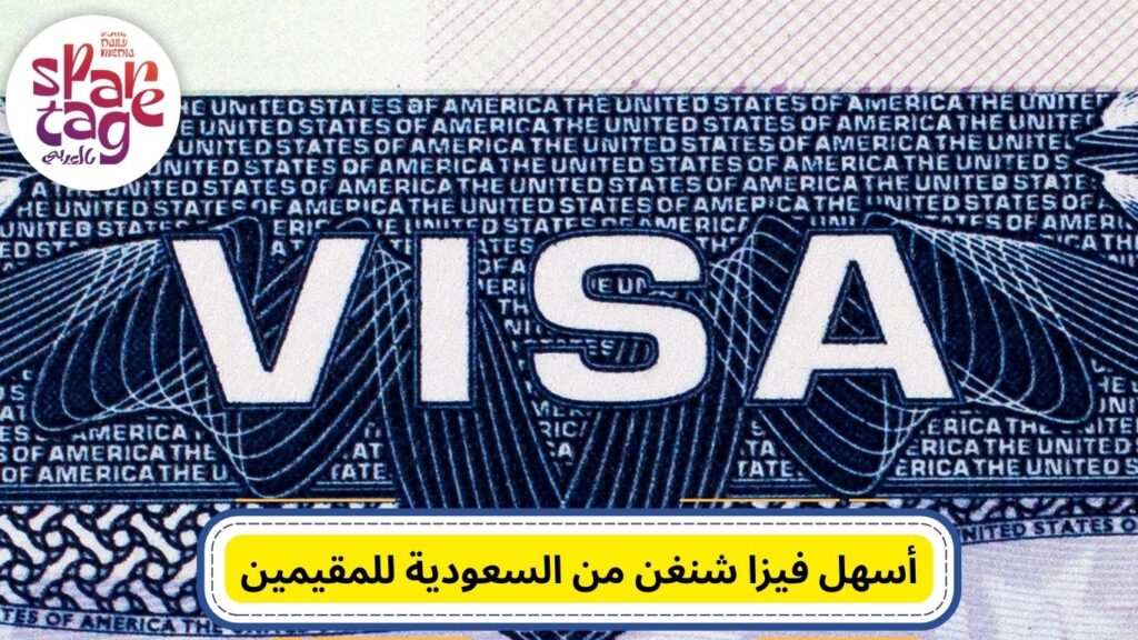 فيزا شنغن، تأشيرة شنغن، فيزا سياحية