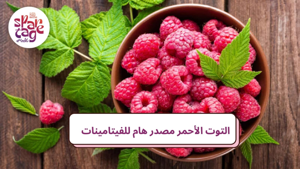 التوت الأحمر مصدر هام للفيتامينات