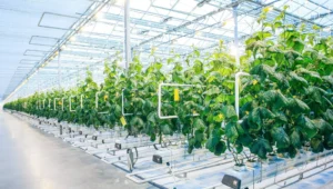 الزراعة الذكية