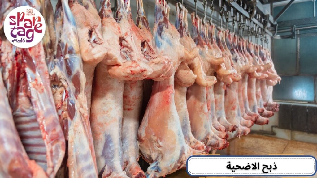 اضحية العيد، أضحية، عيد الأضحى