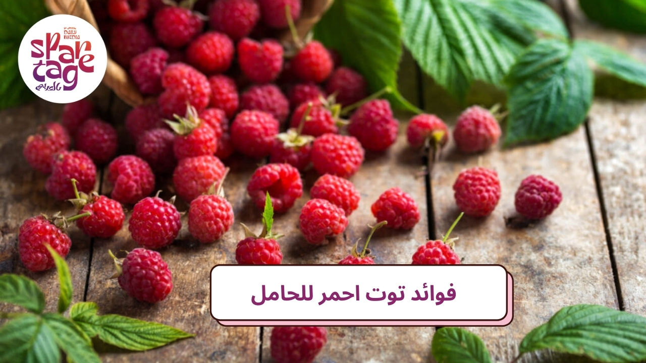 فوائد توت أحمر للحامل