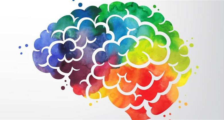 الألوان والدماغ