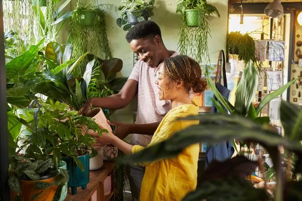 شاب وفتاة يتواصلان خلال تفحص النباتات