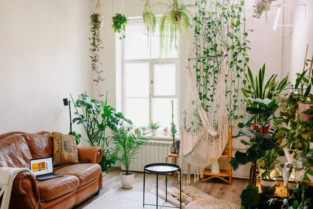 مساحة تنعم بالهدوء مع النباتات