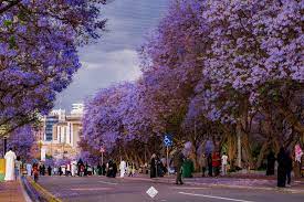 أفضل الحدائق العامة للعائلات