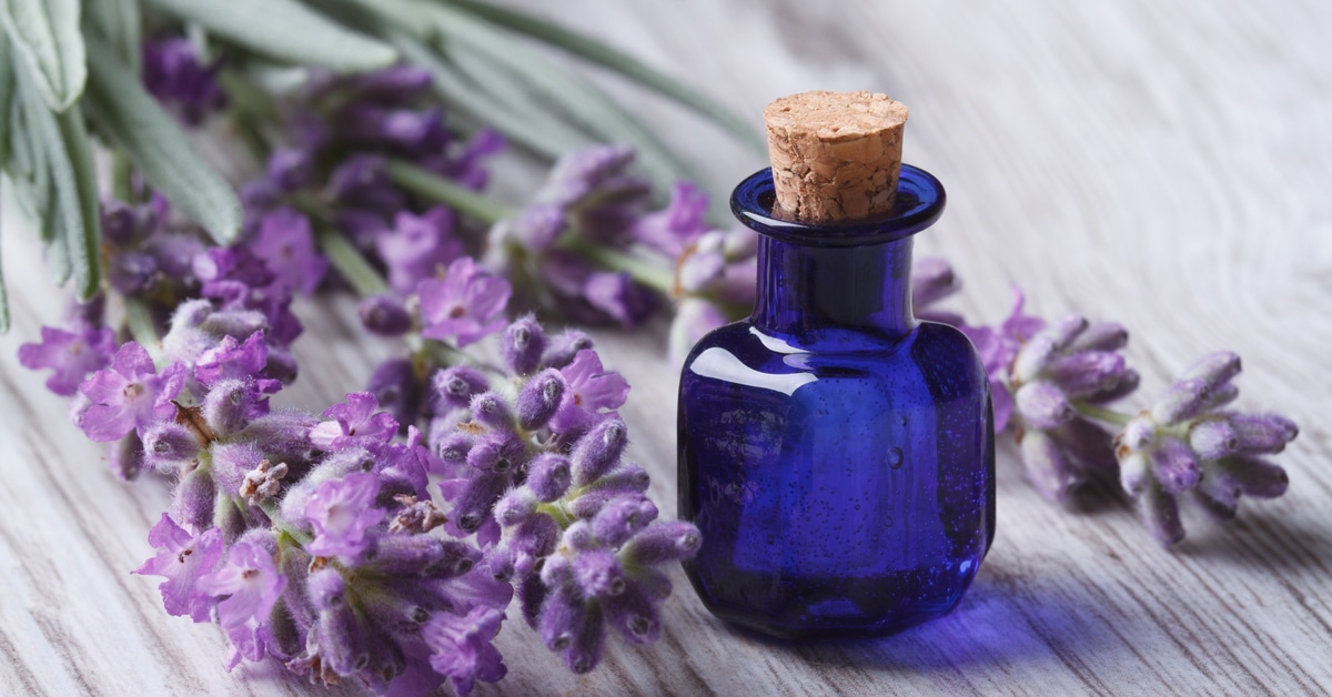 كيف تعطرين منزلك بطريقة تدوم