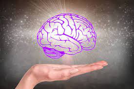 الدماغ