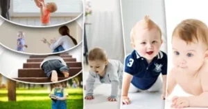 مجالات النمو