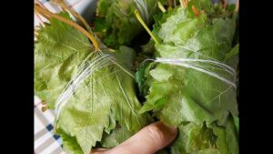 الامن الغذائي