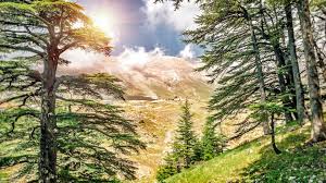 السياحة البيئية في لبنان: استكشاف الطبيعة الجبلية