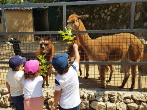 دليل العائلات للسياحة في لبنان: أنشطة مناسبة للأطفال