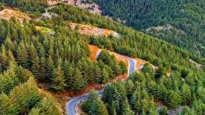 السياحة البيئية في لبنان: استكشاف الطبيعة الجبلية