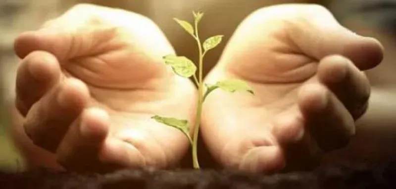 ما هي القيم العشرة الأساسية لتوجيه السلوك؟