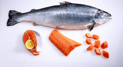 الأسماك الزيتية مثل السلمون