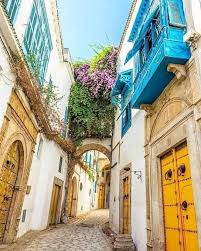 الفنون و الثقافة الفاخرة في مدن تونس القديمة