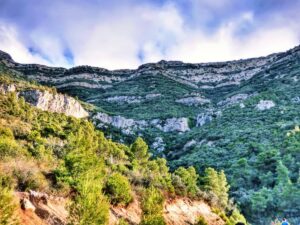 الرحلات البرية الفاخرة