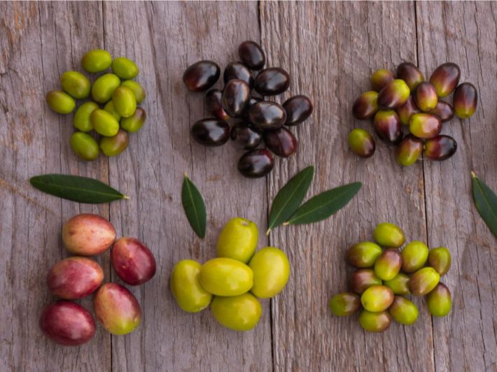 طريقة حفظ الزيتون للموسم القادم