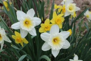 ورود الشتاء العطرة