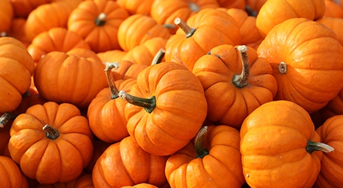 فوائد اليقطين الخارقة