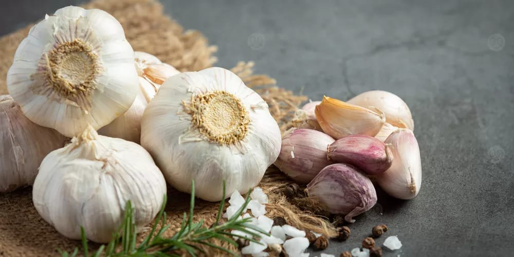 فوائد الثوم الطبية