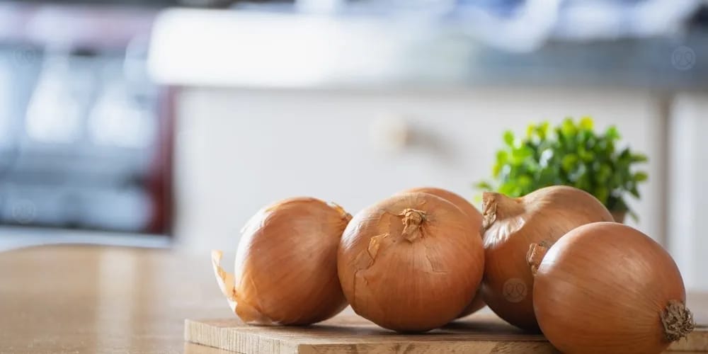 البصل كنز حقيقي لمناعة الجسم وصحته