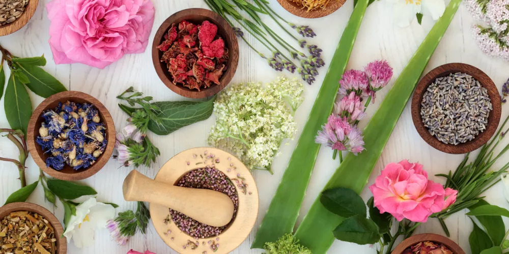 أعشاب طبيعية تساعد على زيادة الوزن