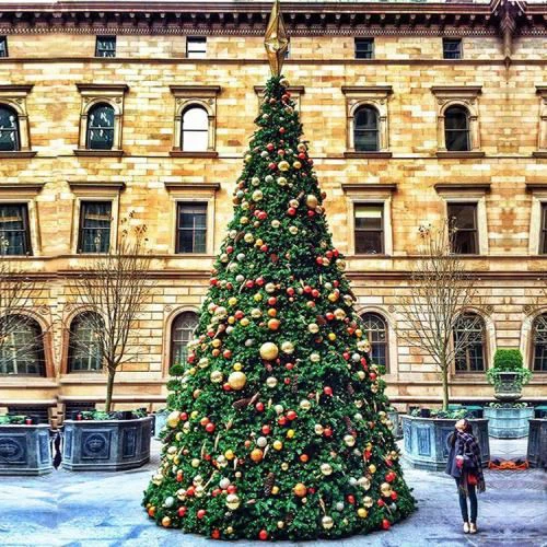 تزيين شجرة الكريسمس 2026 بأسلوب أوروبي أنيق