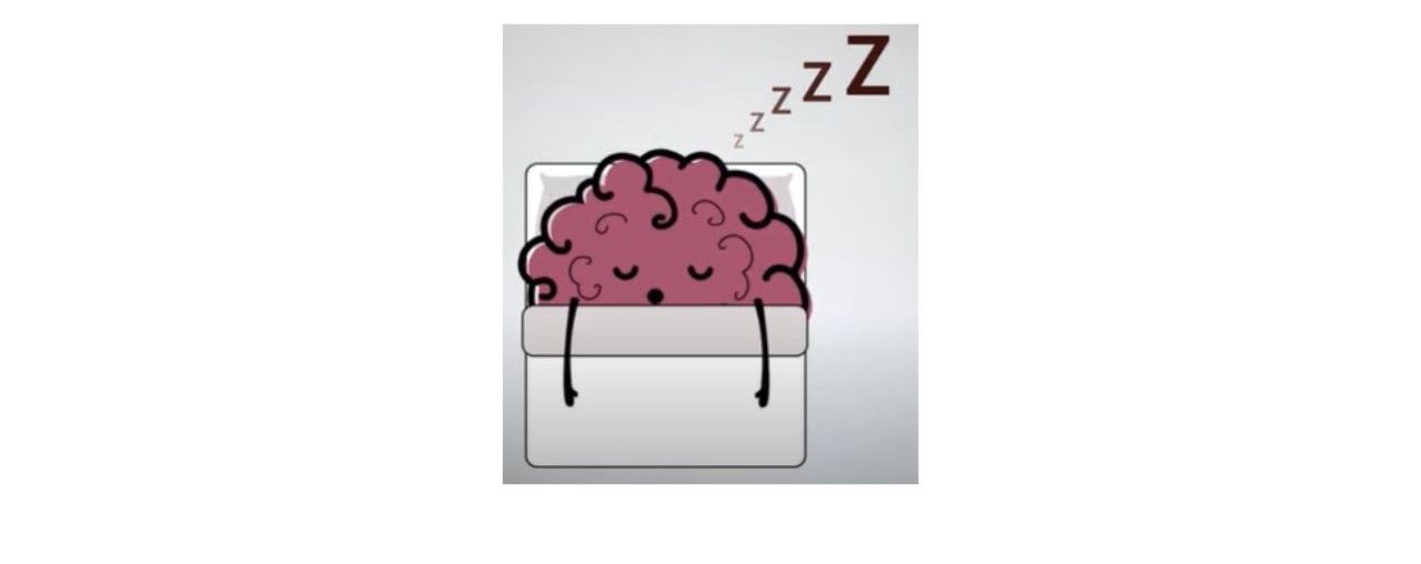 تأثير النوم على القدرات العقلية