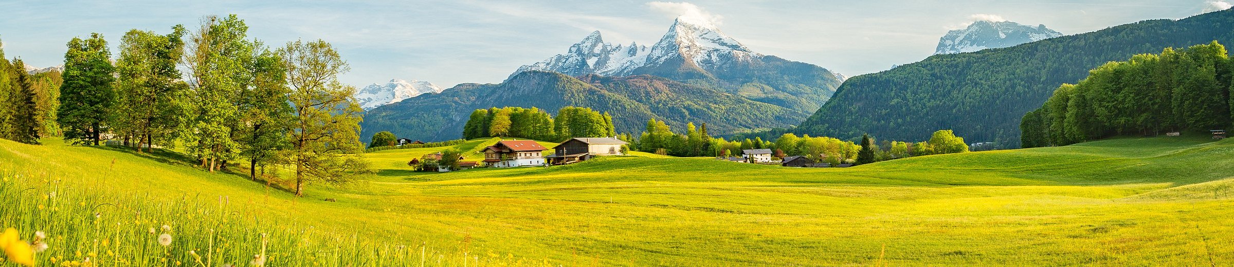 النمسا 2026: فيينا وسالزبورغ